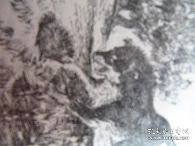 《避雨的豹》【著名作家用散文描写近150个自