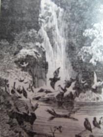 《避雨的豹》【著名作家用散文描写近150个自