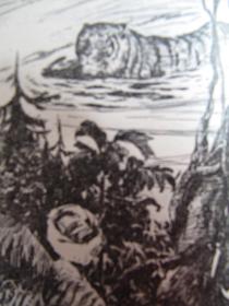 《避雨的豹》【著名作家用散文描写近150个自