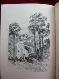 《避雨的豹》【著名作家用散文描写近150个自