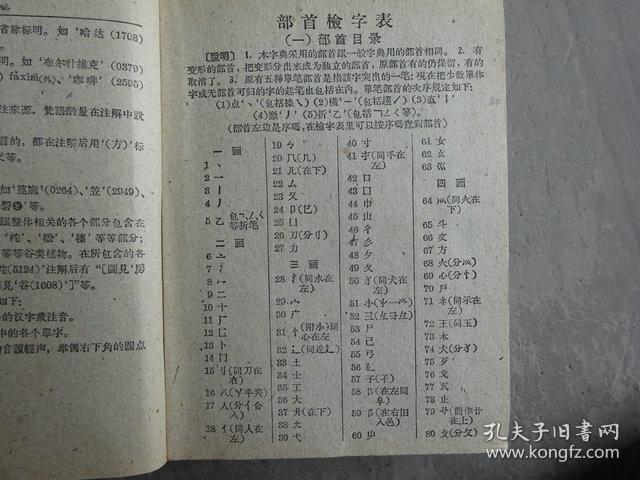 新华字典 汉语拼音字母音序排列(附部首检字表)