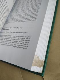 当代中国生态学研究(英文版)【有污渍见图 不影