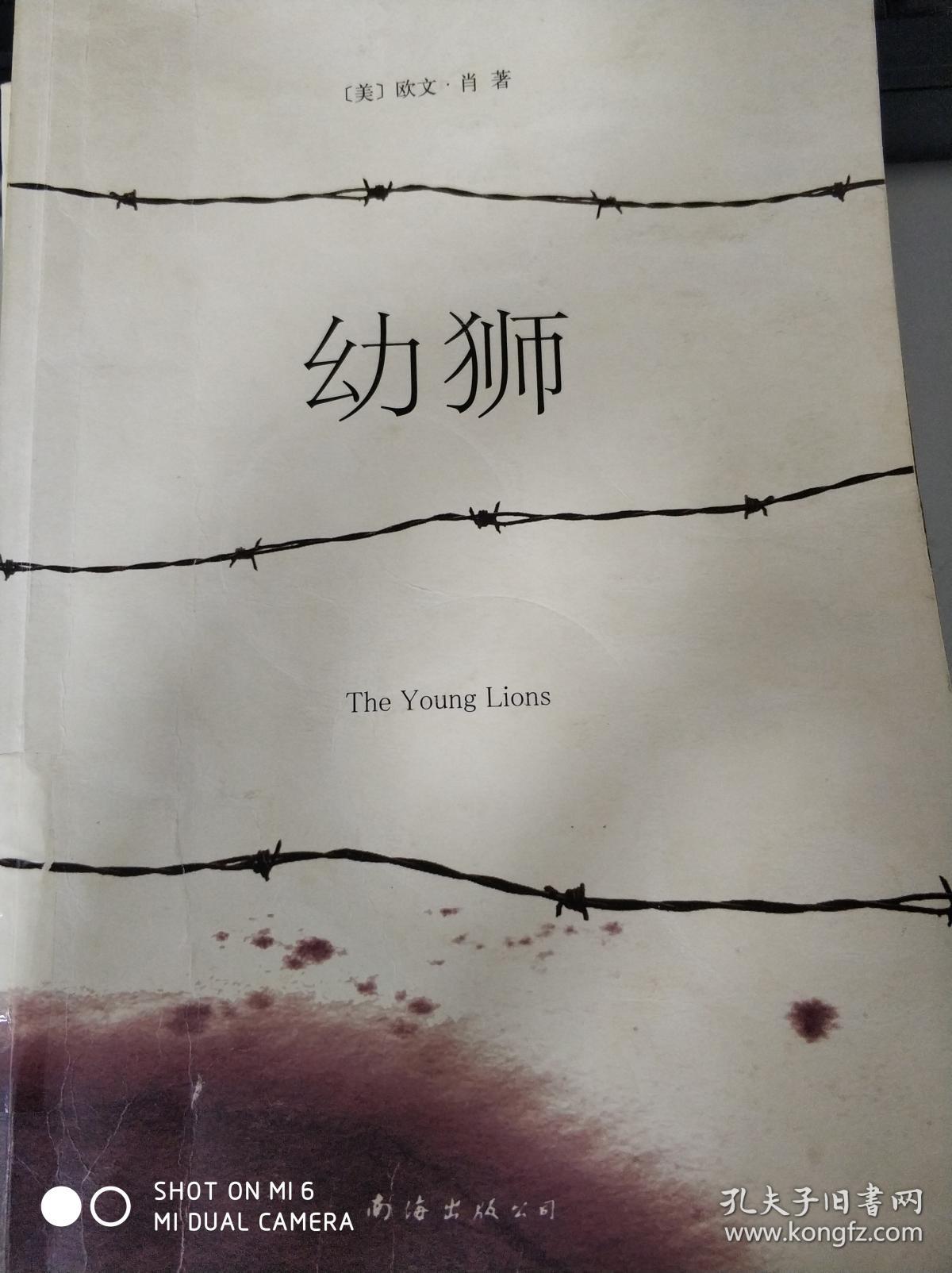 幼狮([美]欧文·肖(irwin shaw) 著;晏奎 译)_简介
