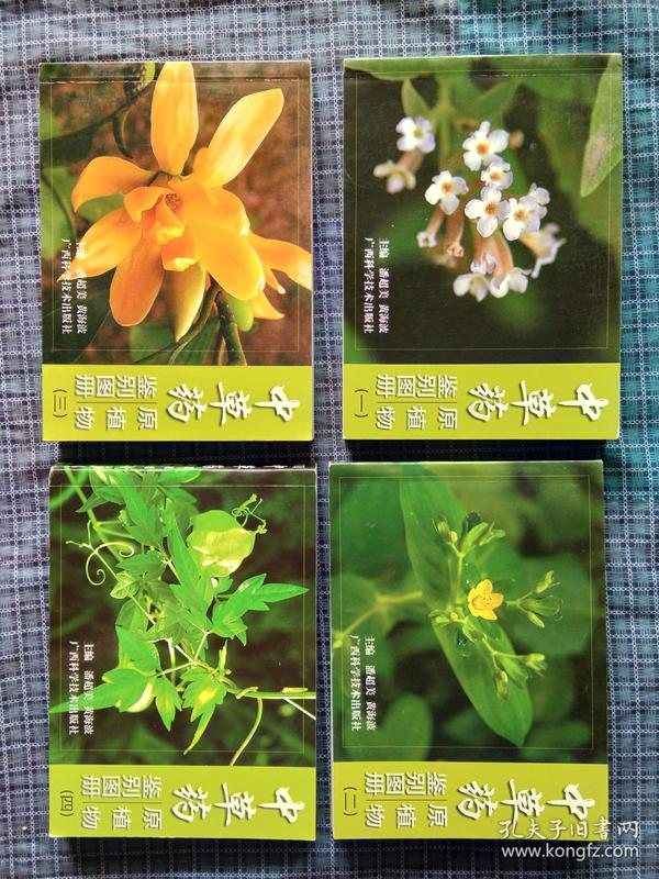 中草药原植物鉴别图册1--4册全,彩图版