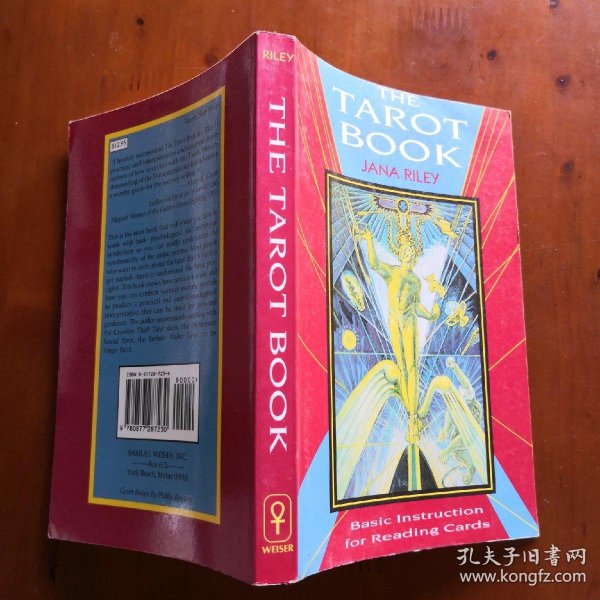 the tarot book:basic instruciton for reading cards (jana riley