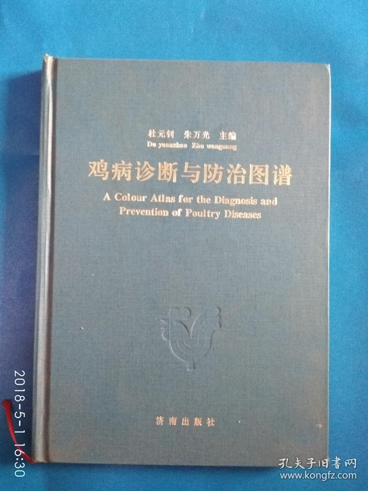 鸡病诊断与防治图谱(第6箱)