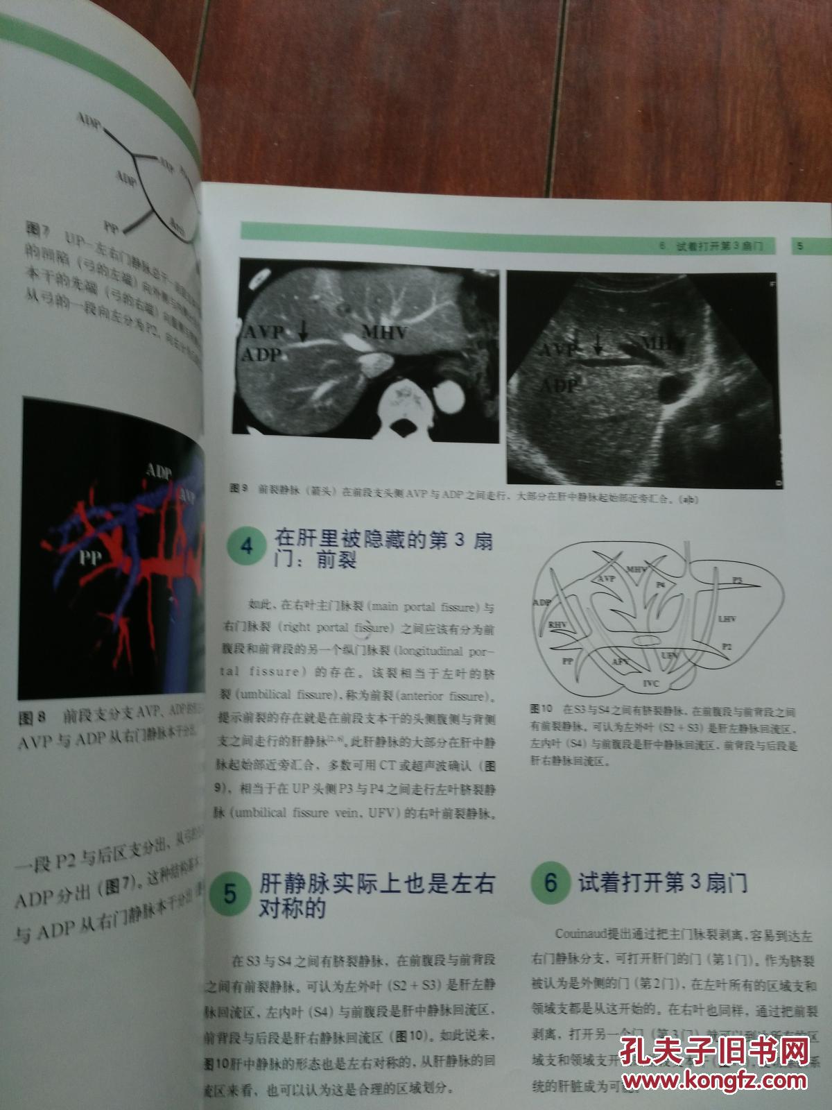 肝脏的外科解剖―以门静脉分段为基础肝脏新分段法的思路