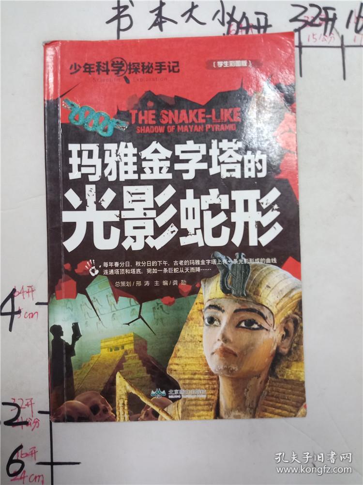 玛雅金字塔的光影蛇形