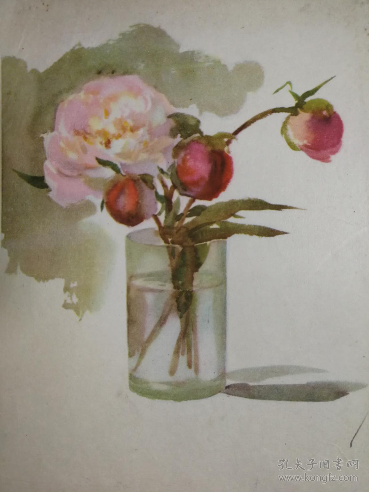 怀旧水彩画,唤醒童年梦:《花》(静物)【尺寸26.0x18.5公分】!