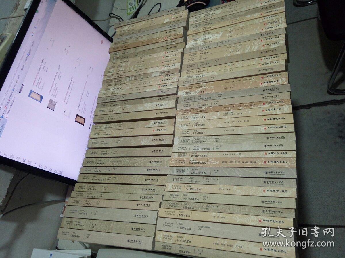 中国民族经济村庄调查丛书 汉族 回族 满族 藏族