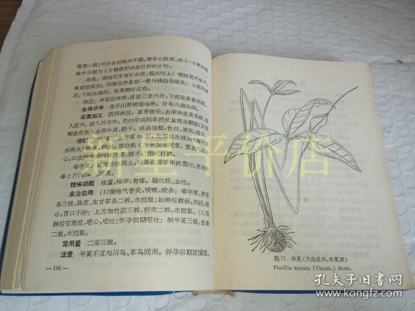 老中草药资料---------《河北中药手册》!
