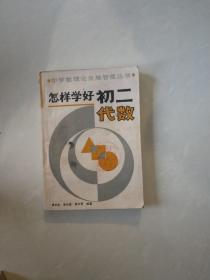怎样学好初二代数