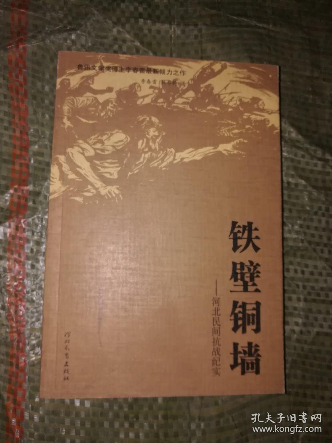 《铁壁铜墙:河北民间抗战纪实》