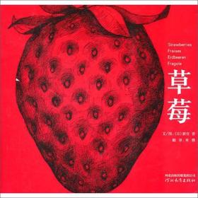 启发精选国际大师名作绘本：草莓