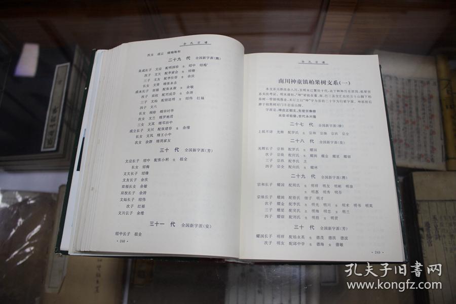 余氏宗谱 第一集 ---铁改余氏宗谱 黄金家族 (16开 精装 厚928页)