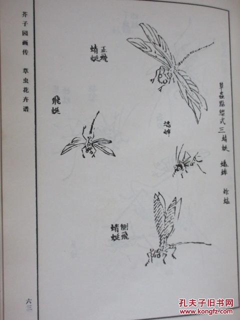 芥子园画传 第三集 花卉翎毛 巢勋临本 竖排版(货号c:9k5)