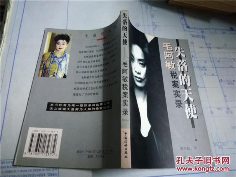 失落的天使:毛阿敏税案实录_张京民著