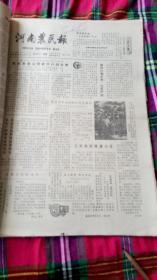 生日报    河南农民报   1983年10月22日共四版
