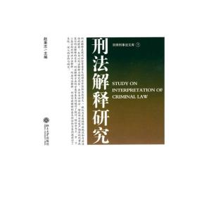 京师刑事法文库（7）—刑法解释研究