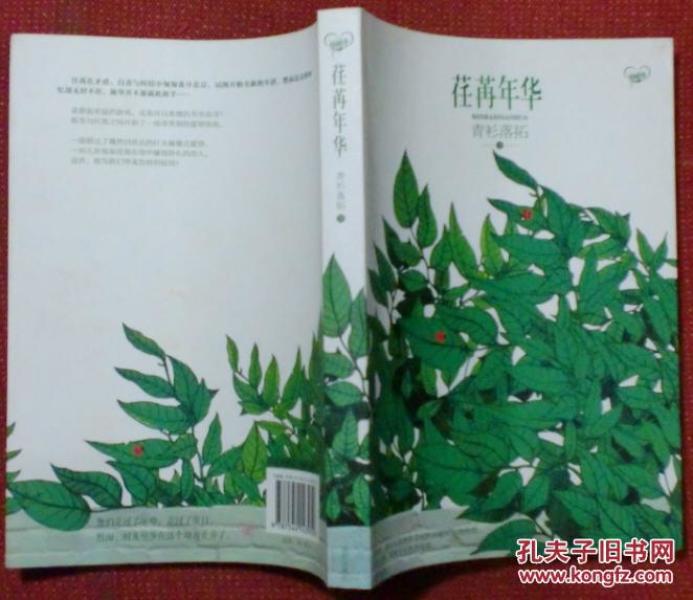 荏苒年华_青衫落拓著