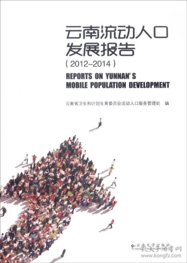春节流动人口总结_春节的习俗总结