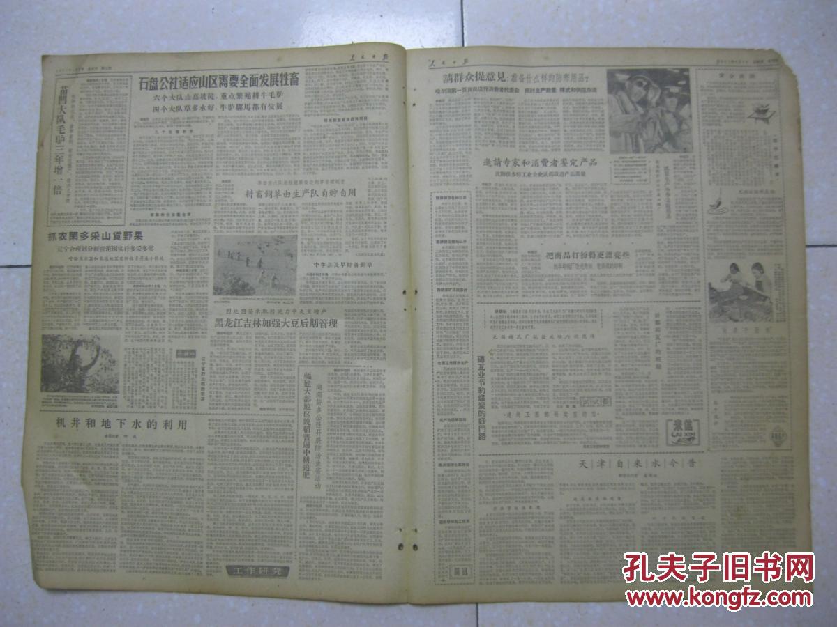 六安单王人口_六安王酒价格图片(2)