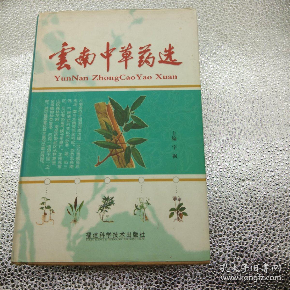 云南中草药选