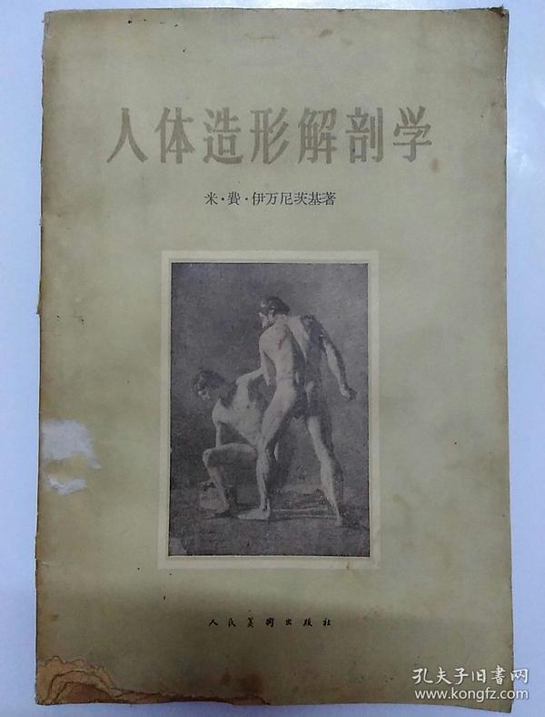 人体造型解剖学
