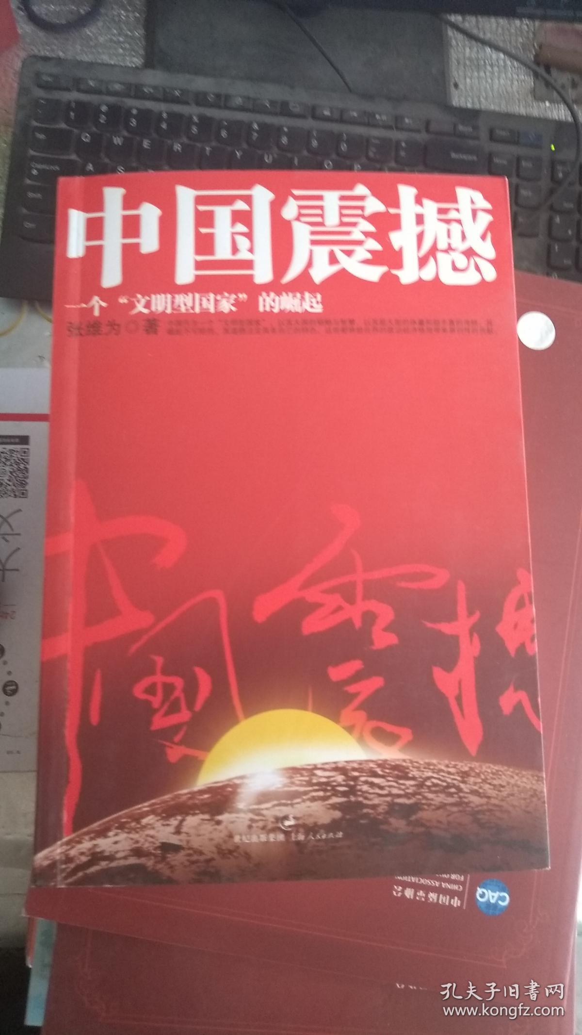 中国震撼:一个"文明型国家"的崛起