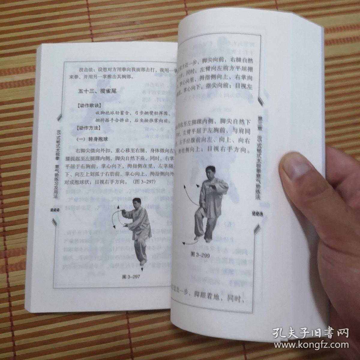 85式杨式太极拳意气势练习及用法