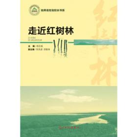 红树林简谱_深圳红树林图片(3)