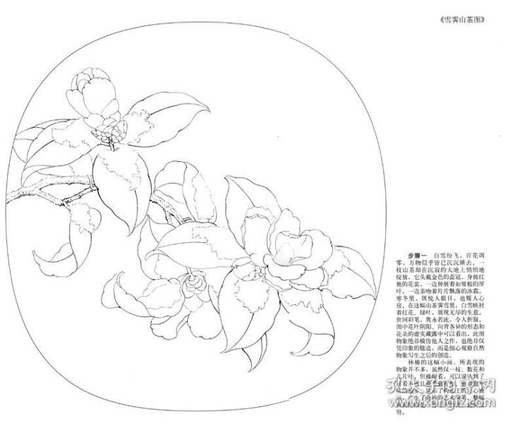 雪霁山茶图 秋葵图 李晓明临宋画六步学 原大版
