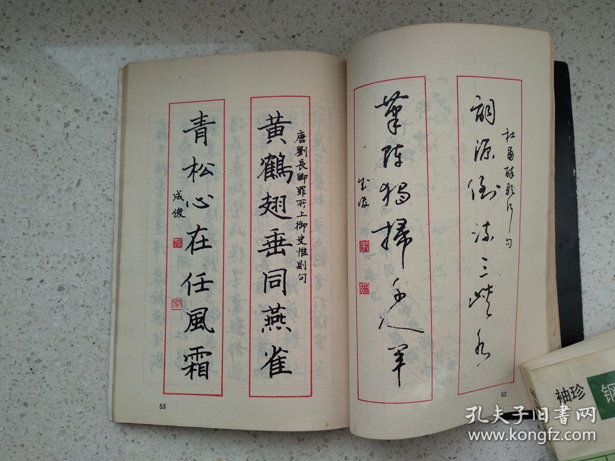 钢笔书法范本_史成俊_孔夫子旧书网
