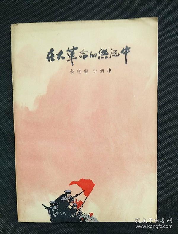 在大革命的洪流中