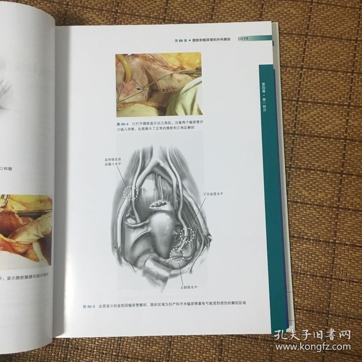 盆腔解剖与妇产科手术图谱(下卷):其他相关妇科手术,内镜检查与内镜