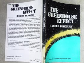 The Greenhouse Effect（村集体）