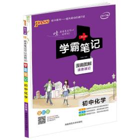 学霸笔记 初中化学