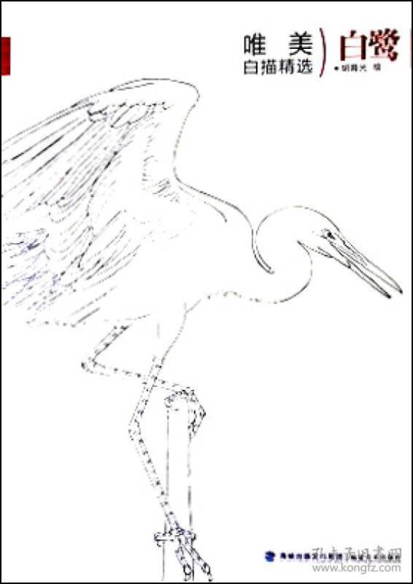 唯美 白描精选 白鹭