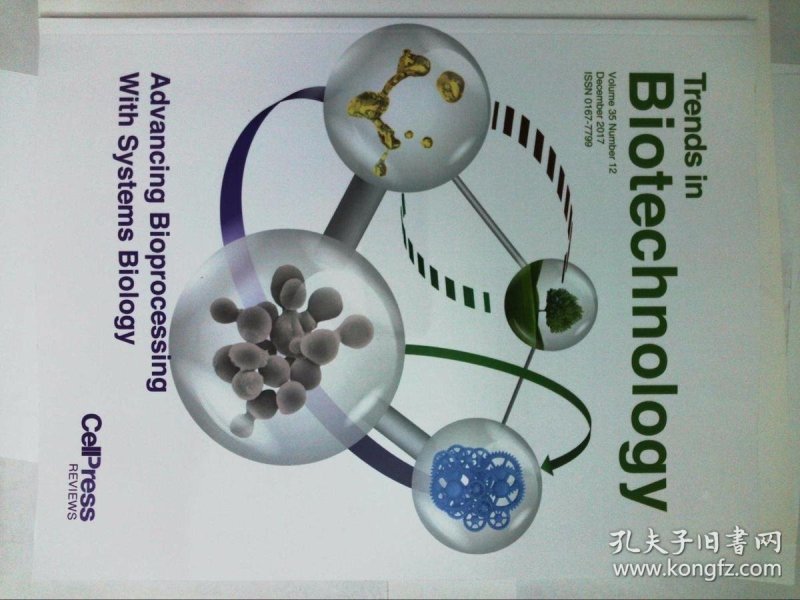 医学技术这碗饭，想吃得international？英语这块硬骨头，咱得用“土法子”慢慢啃-第2张图片-正海烽科技 - 领先的只能推广行业，智能制造解决方案提供商