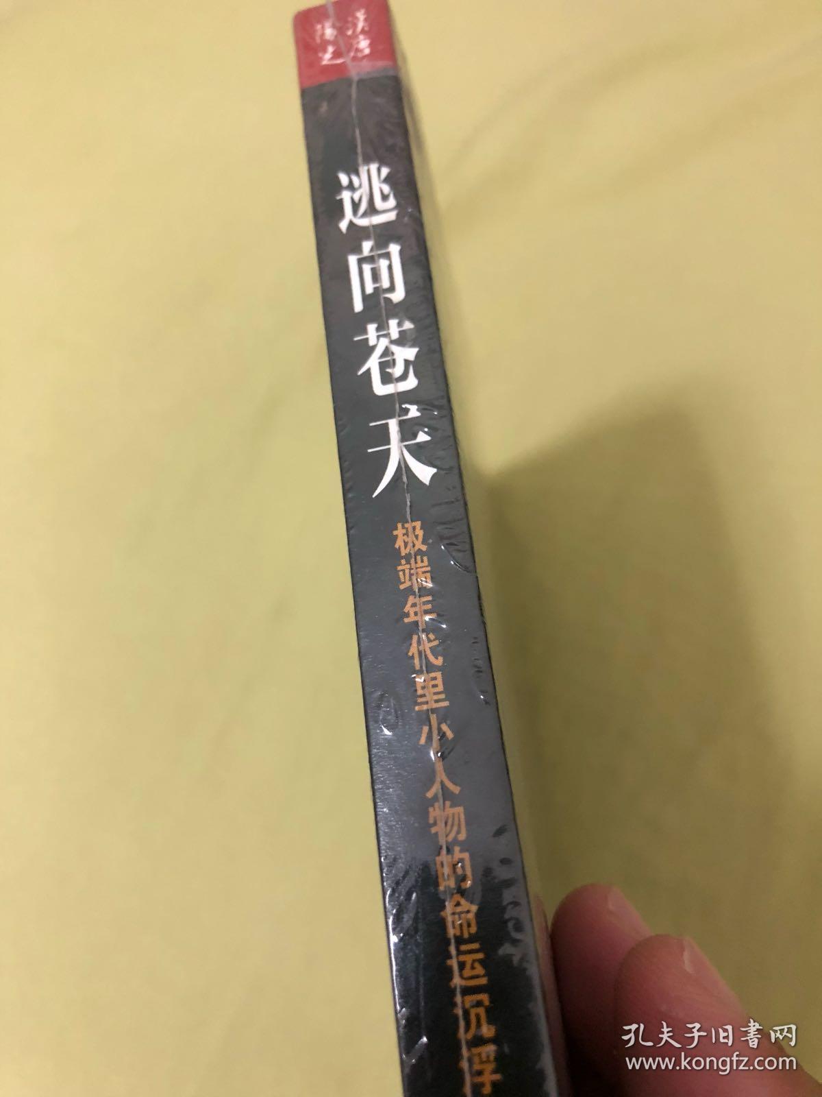 逃向苍天:极端年代里小人物的命运沉浮