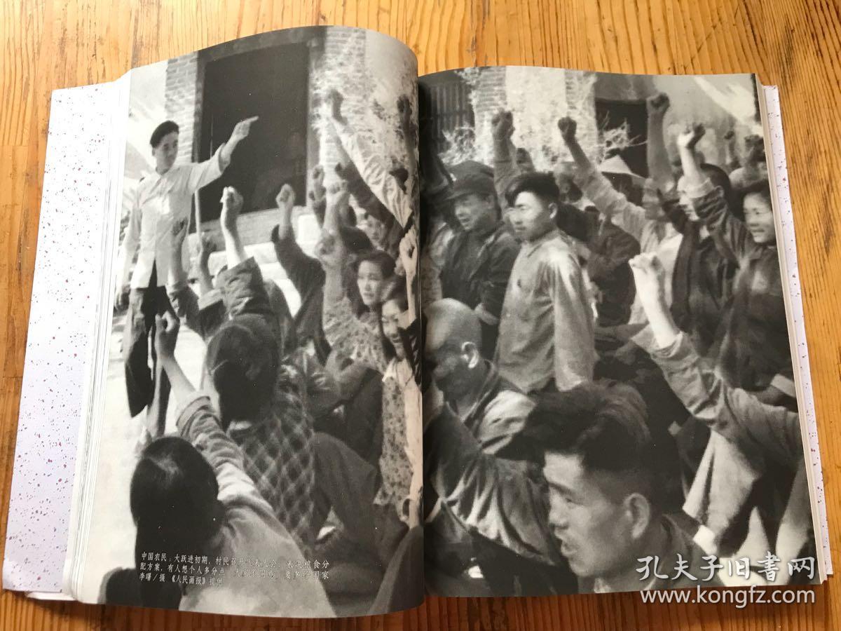 圣殿:1959-1961信阳大饥荒沉思录