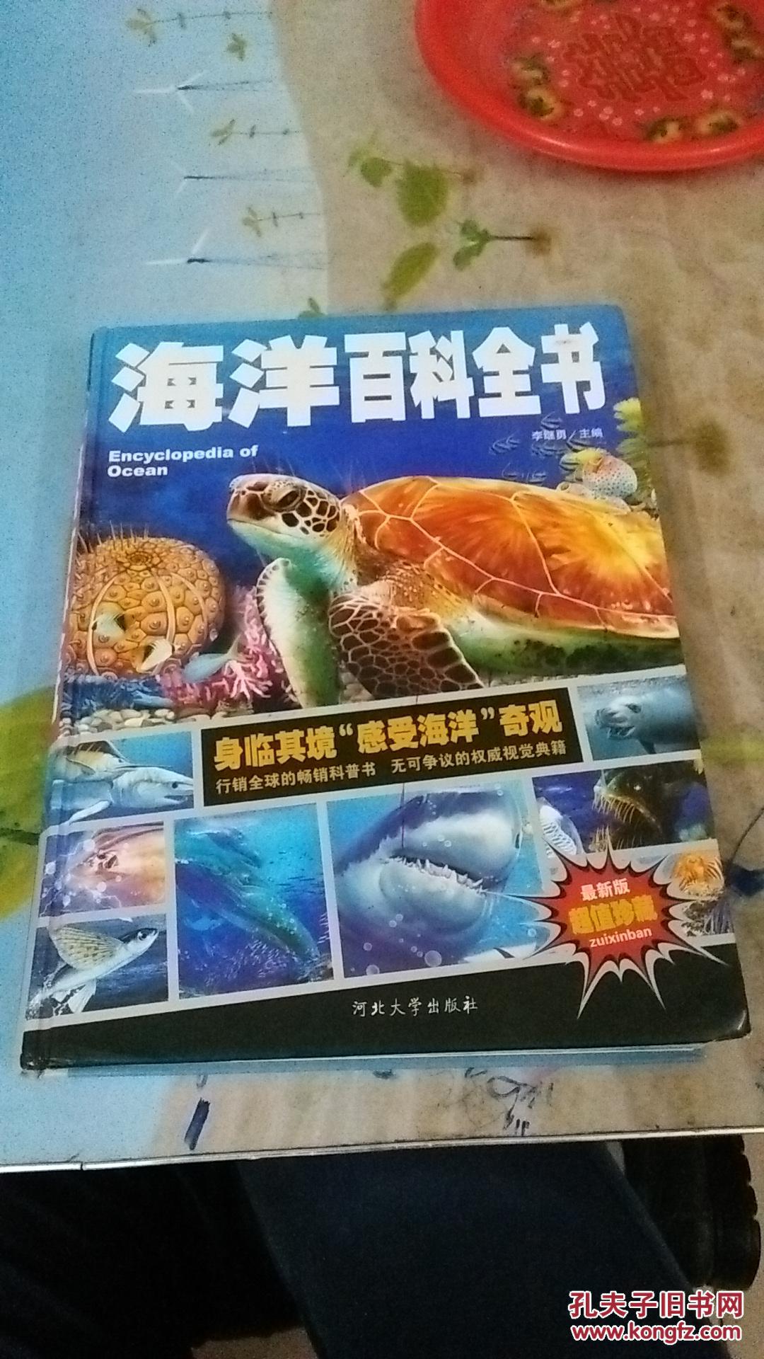 海洋百科全书少儿科普百科读本中小学课外百科全书系列丛书精装手绘