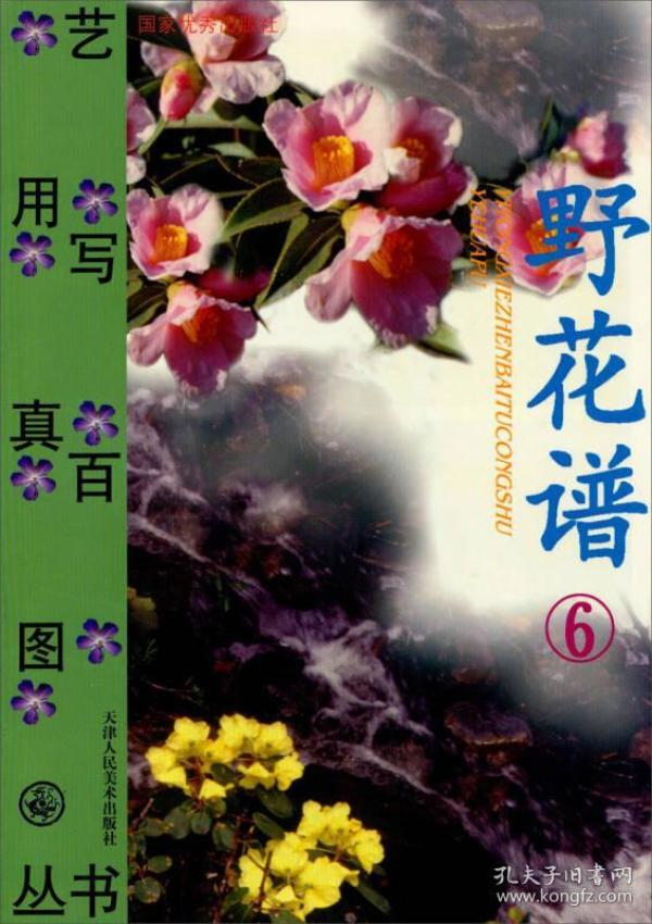 野花简谱_野花简谱田震(3)