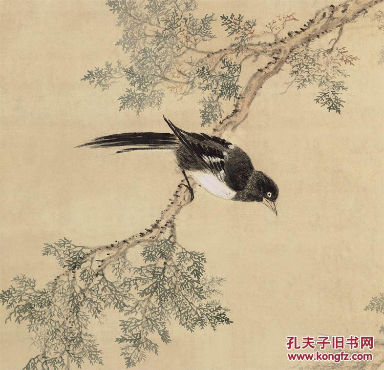 清 邹一桂 翠柏双喜图