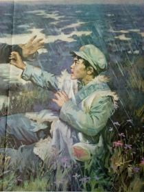 八十年代教学挂图,【草地夜行】,品相好!