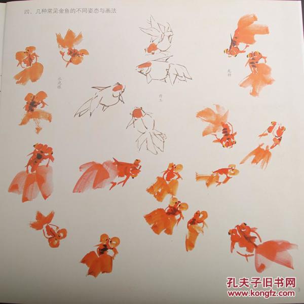学画宝典 鱼 中国画技法 写意水禽画法步骤图画