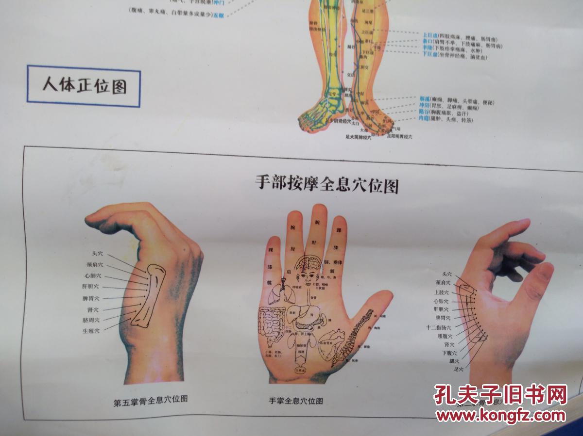 图适用范围手诊足疗耳穴面诊刮痧推拿按摩针灸等36x52厘米单张彩铜版