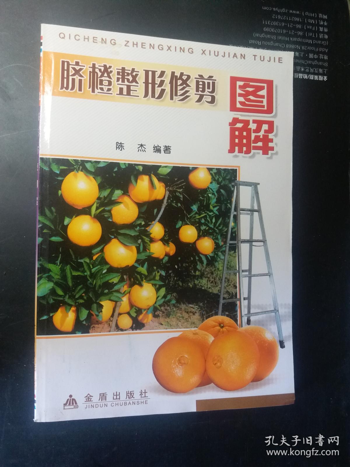 脐橙整形修剪图解