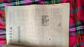 生日报     河南农民报       1984年11月7日共四版