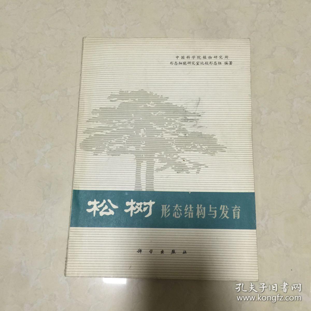 松树形态结构与发育